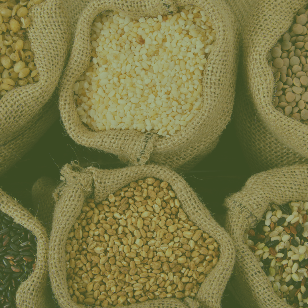 Cereales y Granos